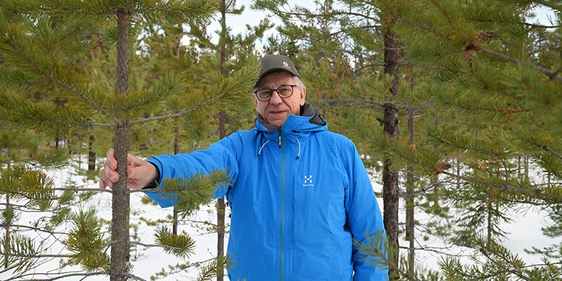 Viljami Kurth mäntytaimikossa talvella.