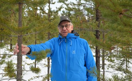 Viljami Kurth mäntytaimikossa talvella.

