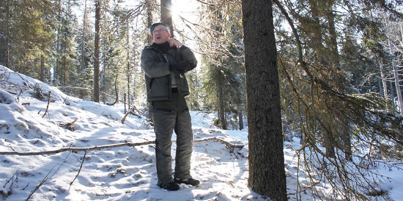 Timo Nissinen on metsässä, joka siirtyi määräaikaisen suojelun jälkeen pysyvään suojeluun. Valo tulee hänen selkänsä takaa ja maassa on lunta.