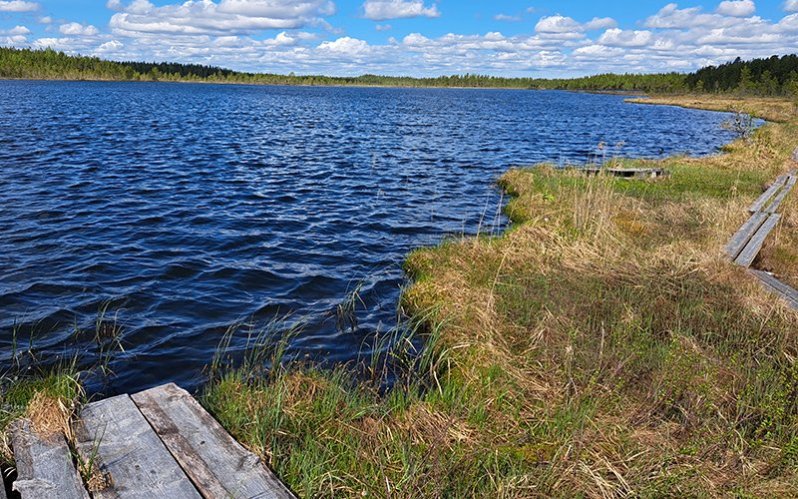 Metsälampi, jonka rantaan johtavat pitkospuut.