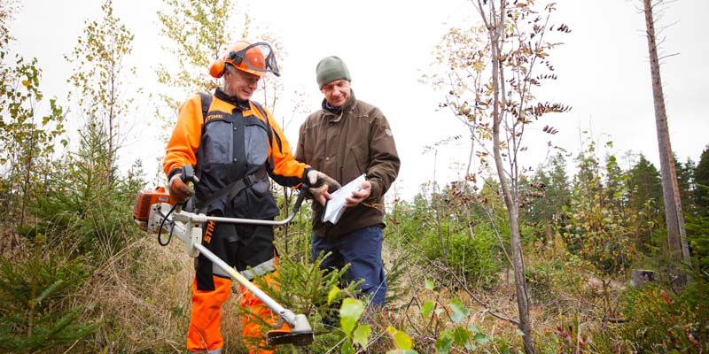 Kuvassa metsuri ja metsänomistaja katsovat yhdessä omavalvontalomaketta syksyisessä metsässä. Metsurilla on kädessään raivaussaha.
