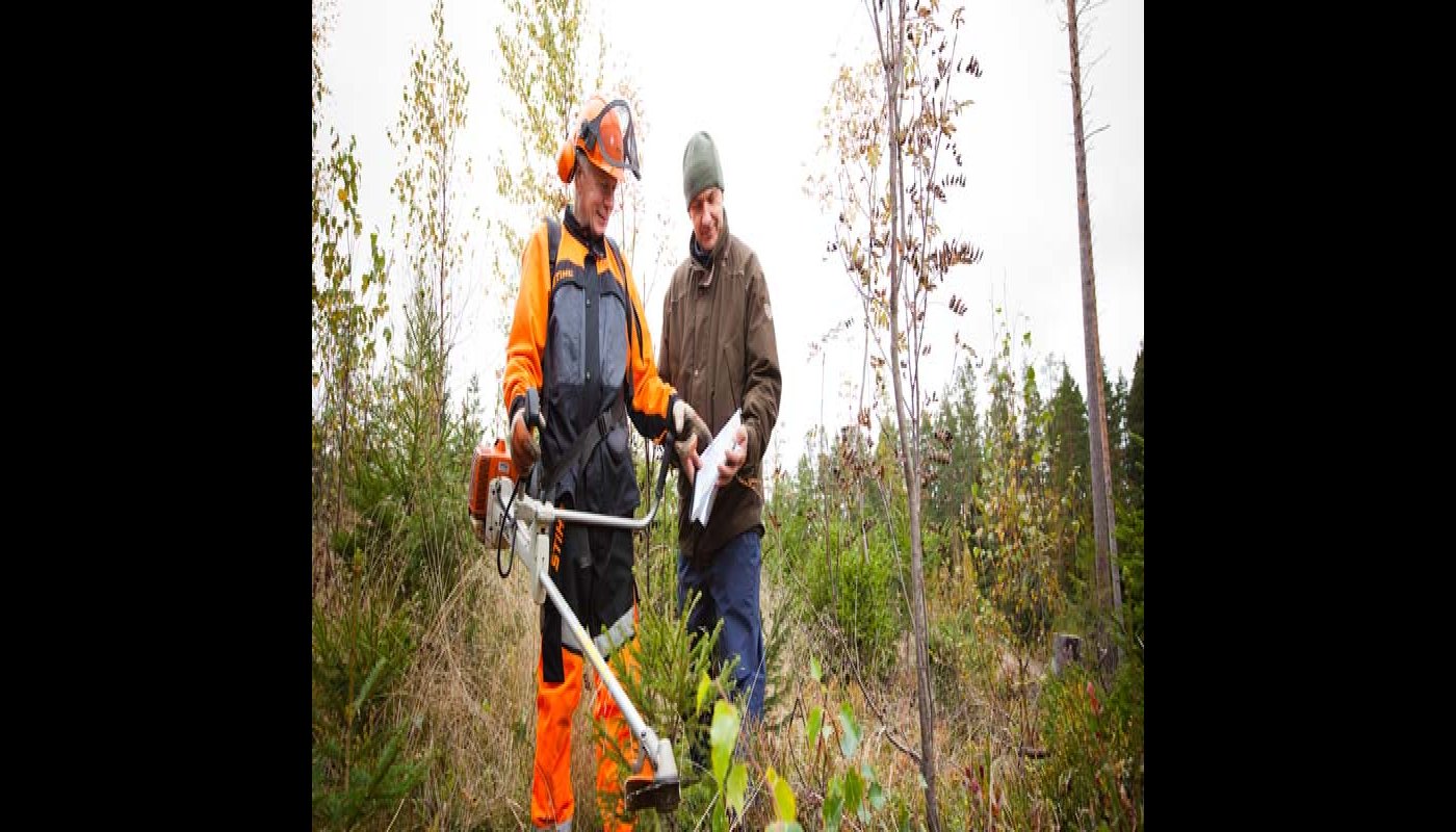 Kuvassa metsuri ja metsänomistaja katsovat yhdessä omavalvontalomaketta syksyisessä metsässä. Metsurilla on kädessään raivaussaha. 