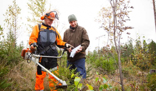 Kuvassa metsuri ja metsänomistaja katsovat yhdessä omavalvontalomaketta syksyisessä metsässä. Metsurilla on kädessään raivaussaha.