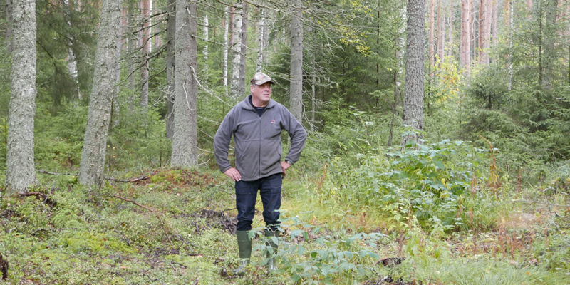 Seppo Helminen seisoo kuvan keskellä. Ympärillä on hänen omistamaansa metsää.
