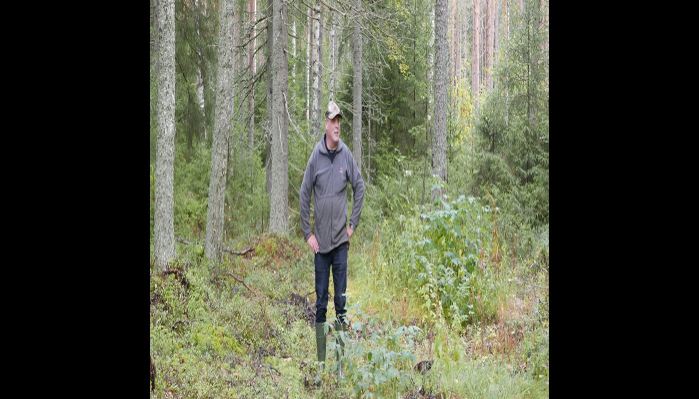 Seppo Helminen seisoo kuvan keskellä. Ympärillä on hänen omistamaansa metsää. 