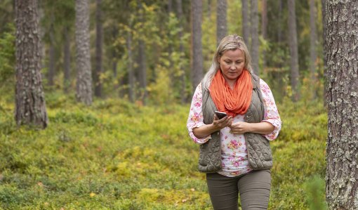 Metsänomistaja, tutustu ainakin näihin tietoihin Metsään.fi-palvelussa