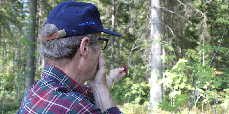 Metsän- ja luonnonhoidon asiakasneuvoja Kari Vääränen mittaa metsää ketjurelaskoopin avulla. Relaskoopin ketjun pää on silmän kohdalla ja Vääränen tähtää relaskoopilla kohti puiden runkoja.