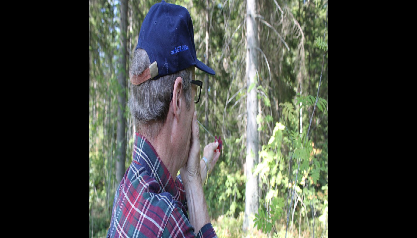 Metsän- ja luonnonhoidon asiakasneuvoja Kari Vääränen mittaa metsää ketjurelaskoopin avulla. Relaskoopin ketjun pää on silmän kohdalla ja Vääränen tähtää relaskoopilla kohti puiden runkoja.