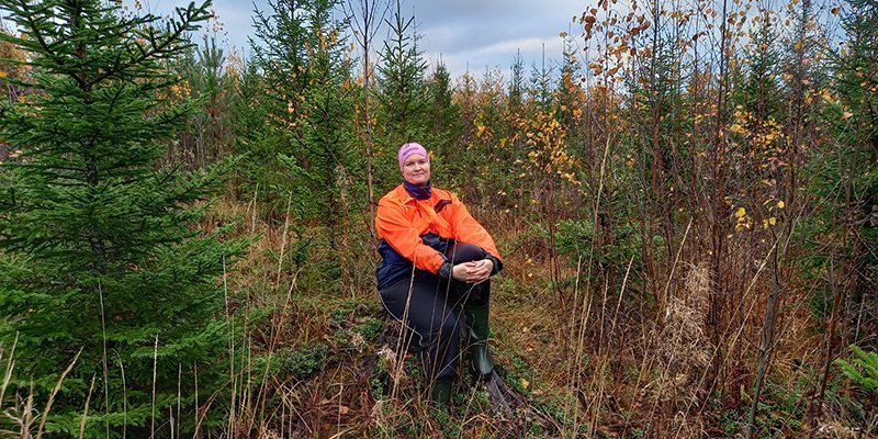 Kaisa Laitinen istuu kannolla syksyisessä taimikossa.