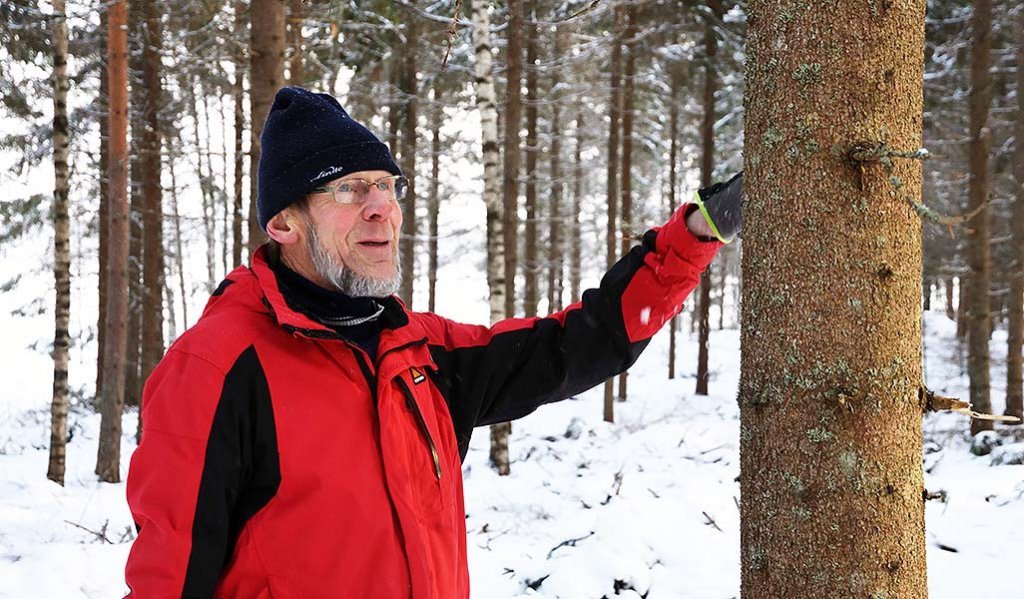 Metsänomistaja Auvo Alanne pitää kädellään kiinni puunoksasta lumisessa metsässä. 