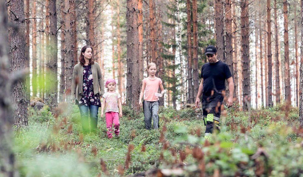 Paula Viilo, lapset Peppi ja Ronja Viilo ja Harri Viilo kävelevät rinnakkain mäntymetsässä. Maassa kasvaa varvikkoa. 