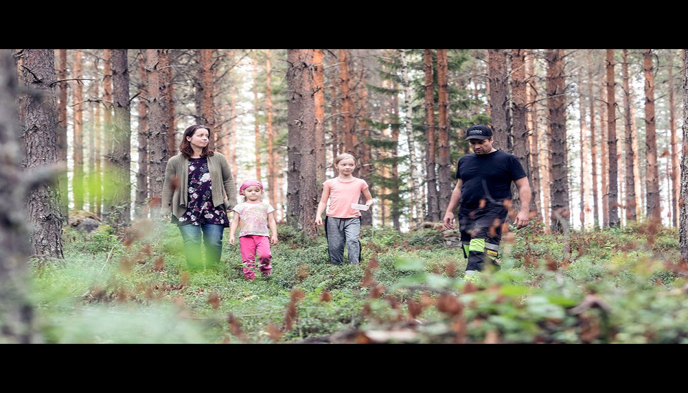 Paula Viilo, lapset Peppi ja Ronja Viilo ja Harri Viilo kävelevät rinnakkain mäntymetsässä. Maassa kasvaa varvikkoa. 