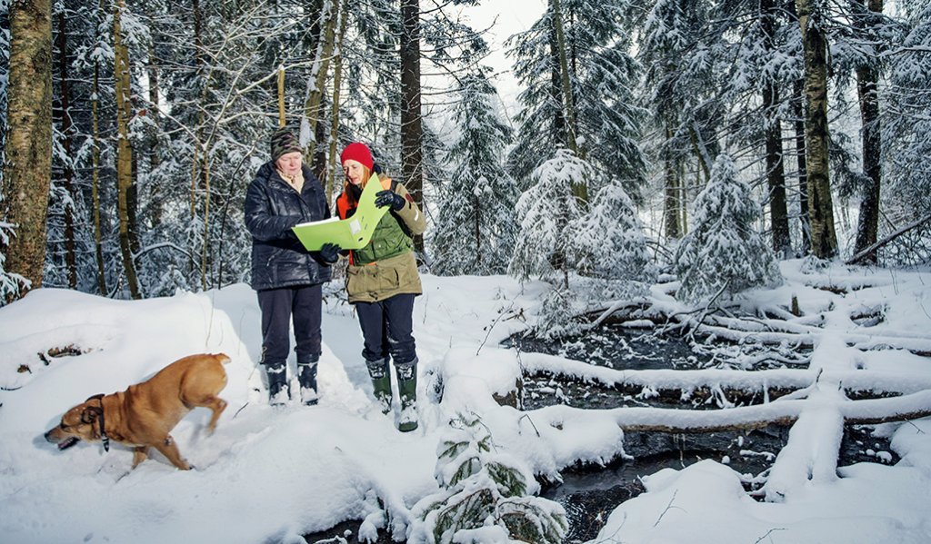 Metsänomistaja Virpi Saarela ja metsäasiantuntija Minna Lautala katsovat yhdessä metsäsuunnitelmaa talvisessa metsässä. Metsänomistajan koira juoksee innoissaan lumessa. Oikealla kuvassa on lähde, jonka ylle on kaatunut muutamia puita. 