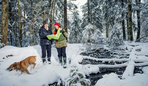 Metsänomistaja Virpi Saarela ja metsäasiantuntija Minna Lautala katsovat yhdessä metsäsuunnitelmaa talvisessa metsässä. Metsänomistajan koira juoksee innoissaan lumessa. Oikealla kuvassa on lähde, jonka ylle on kaatunut muutamia puita.