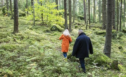 Nainen ja mies kulkevat metsässä peräkkäin. 