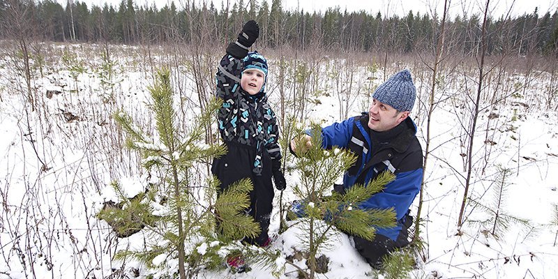 Mies ja lapsi katsovat männyntaimia taimikossa talvella. Lapsi on nostanut toisen kätensä pystyyn. 