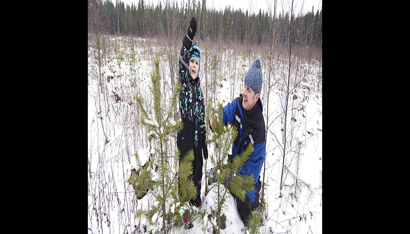 Mies ja lapsi katsovat männyntaimia taimikossa talvella. Lapsi on nostanut toisen kätensä pystyyn. 