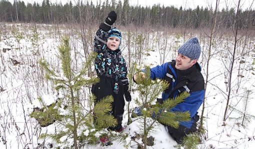 Mies ja lapsi katsovat männyntaimia taimikossa talvella. Lapsi on nostanut toisen kätensä pystyyn. 