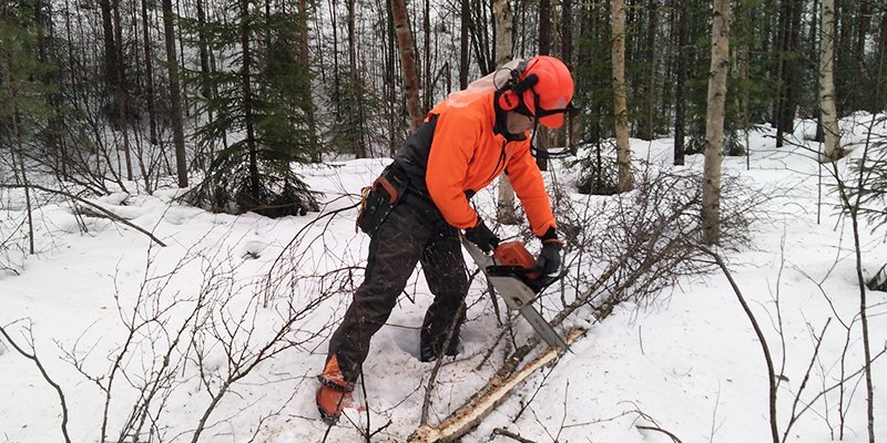 Mies sahaa moottorisahalla polttopuurankoja oranssit suojavarusteet päällä ja kypärä ja kuulosuojaimet päässä. On talvi ja maassa on lunta. 