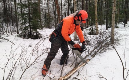 Mies sahaa moottorisahalla polttopuurankoja oranssit suojavarusteet päällä ja kypärä ja kuulosuojaimet päässä. On talvi ja maassa on lunta. 