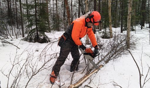 Mies sahaa moottorisahalla polttopuurankoja oranssit suojavarusteet päällä ja kypärä ja kuulosuojaimet päässä. On talvi ja maassa on lunta. 