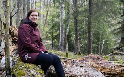 Mari Lilja istuu lahopuun päällä metsässä. 

