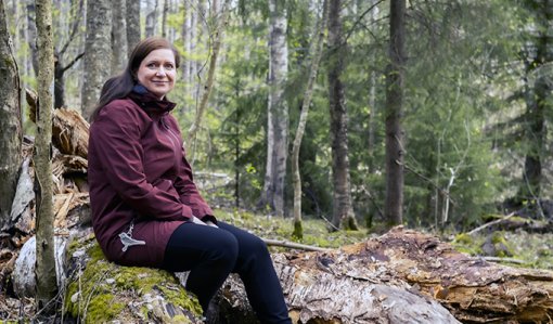 Mari Lilja istuu lahopuun päällä metsässä.
