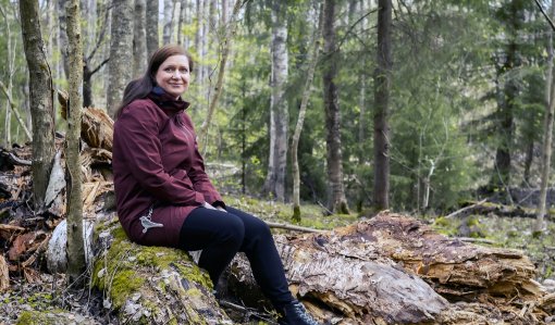 Mari Lilja metsässä