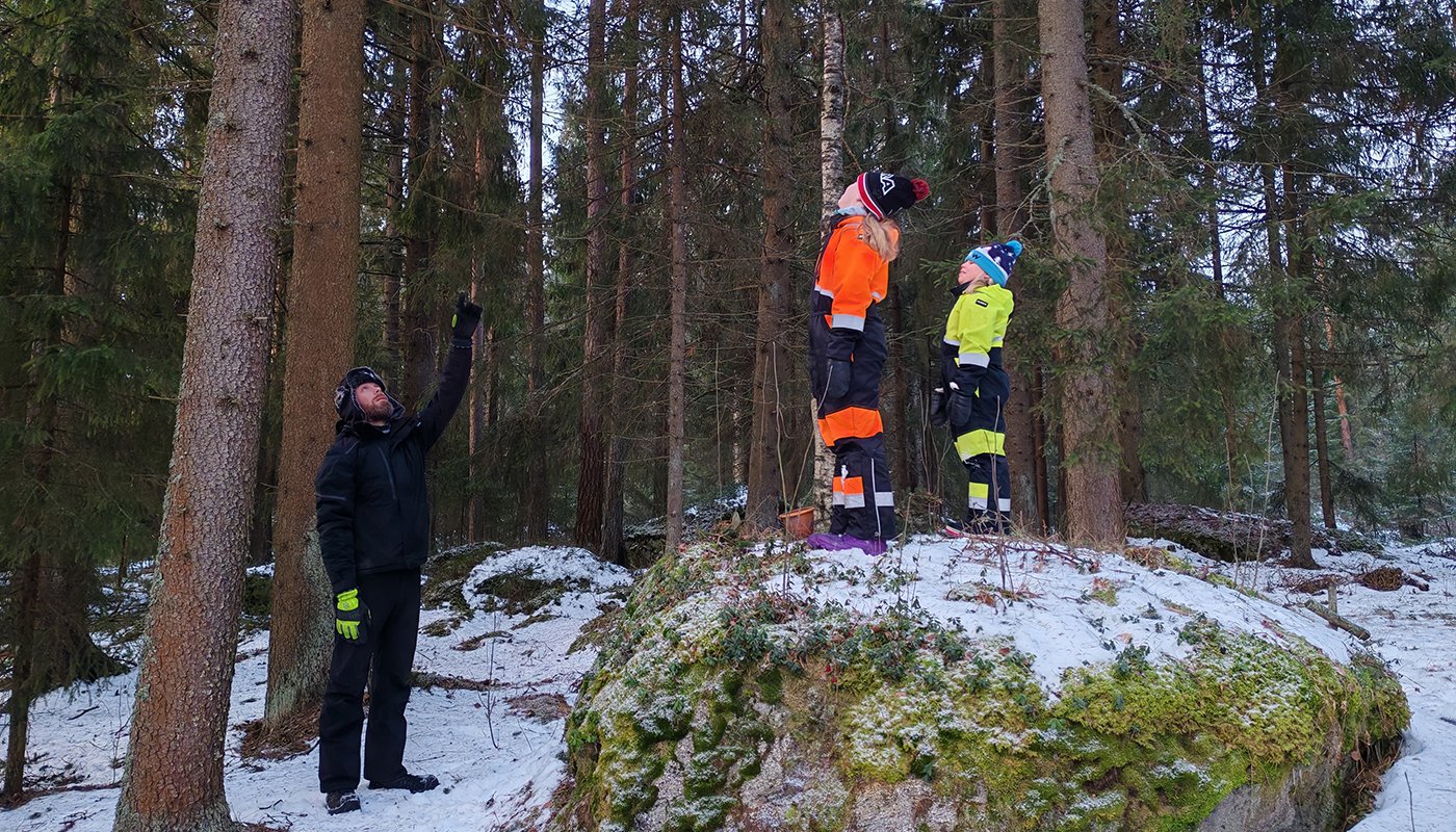 Mies osoittaa ylöspäin puita. Lapset seisovat vieressä isolla kivellä ja katsovat puita. 