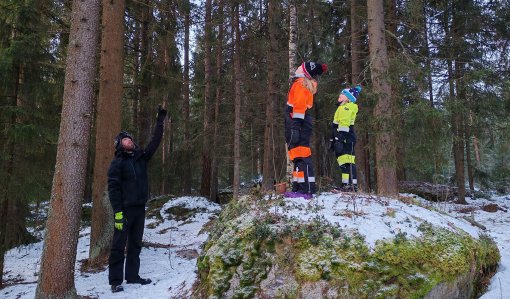 Mies osoittaa ylöspäin puita. Lapset seisovat vieressä isolla kivellä ja katsovat puita. 