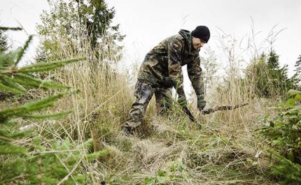 Metsänomistaja, muista nämä viisi asiaa syksyllä