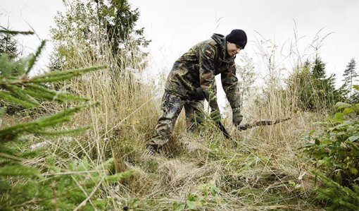 Metsänomistaja, muista nämä viisi asiaa syksyllä