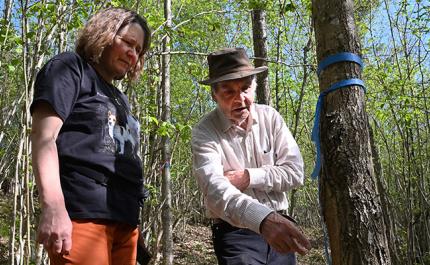 Risto Kuittinen osoittaa tammen runkoa ja Riikka Otsamo katsoo vieressä. 