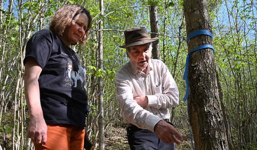 Risto Kuittinen osoittaa tammen runkoa ja Riikka Otsamo katsoo vieressä.