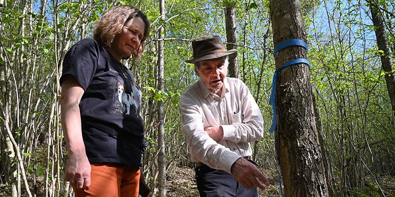 Risto Kuittinen osoittaa tammen runkoa ja Riikka Otsamo katsoo vieressä.