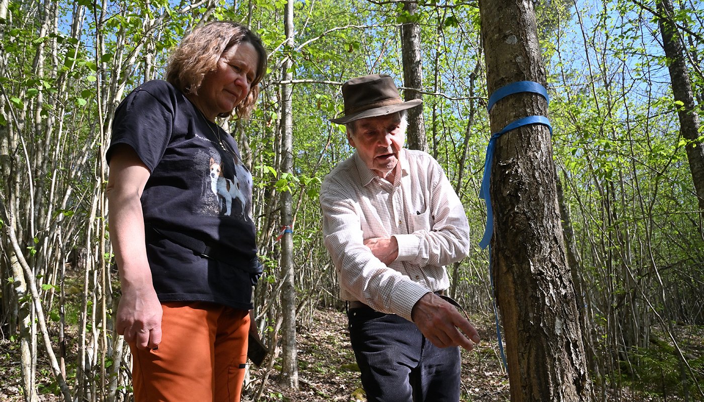 Riikka Otsamo ja Risto Kuittinen tammimetsässä