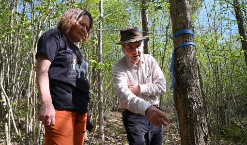 Riikka Otsamo ja Risto Kuittinen tammimetsässä