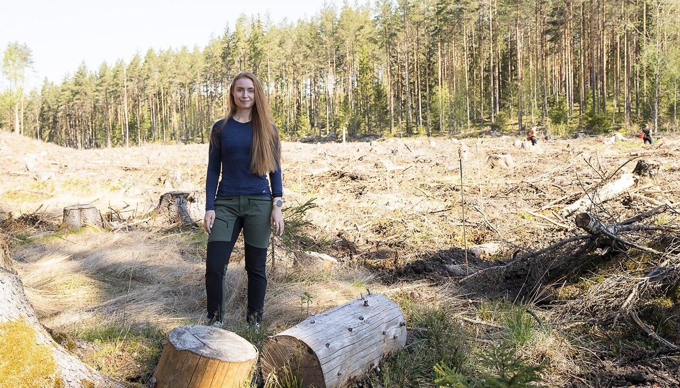 Inna Salminen seisoo hakkuuaukon reunalla. Taustalla kaksi henkilöä istuttaa puuntaimia.