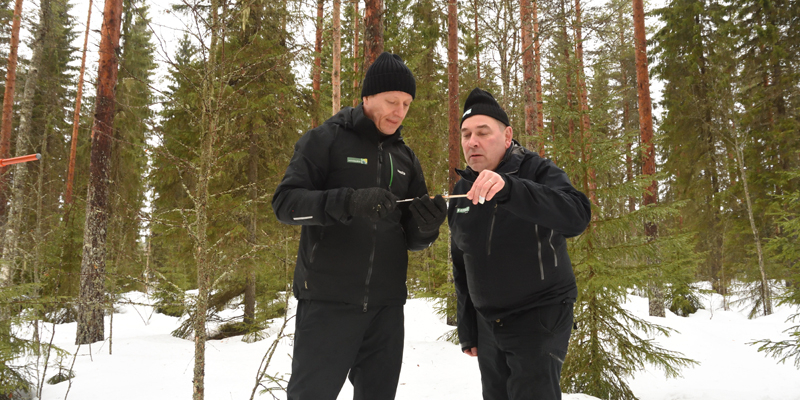 Metsänhoidon johtava asiantuntija Markku Remes ja metsänomistaja Ari Sirviö katselevat yhdessä puun lustonäytettä, joka on otettu tuhkalannoitetusta metsästä.