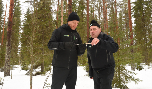 Metsänhoidon johtava asiantuntija Markku Remes ja metsänomistaja Ari Sirviö katselevat yhdessä puun lustonäytettä, joka on otettu tuhkalannoitetusta metsästä.