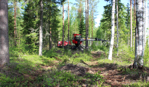 Kuvassa hakkuukone harventaa metsää väyläharvennuksena.