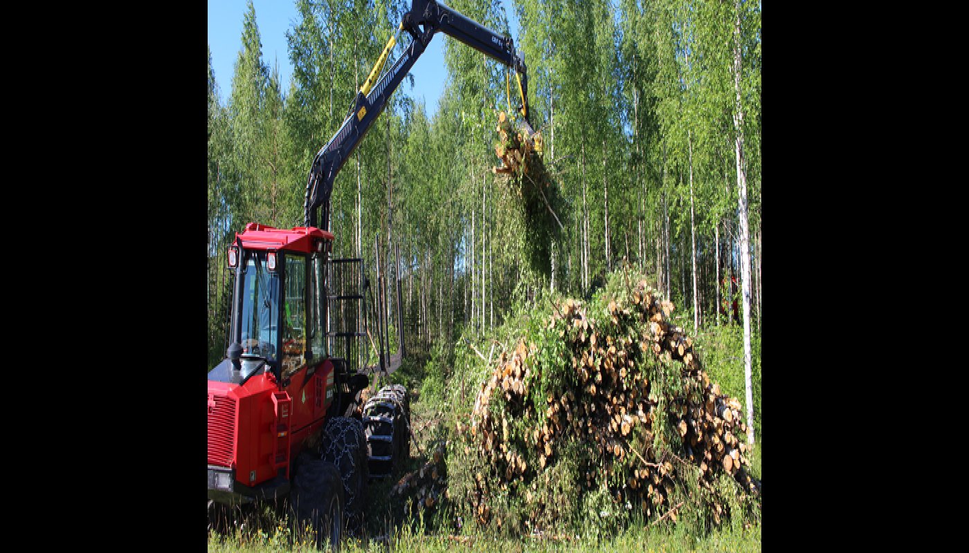 Väyläharvennus voi vähentää ensiharvennuksen kuluja
