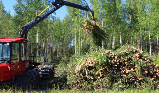 Väyläharvennus voi vähentää ensiharvennuksen kuluja