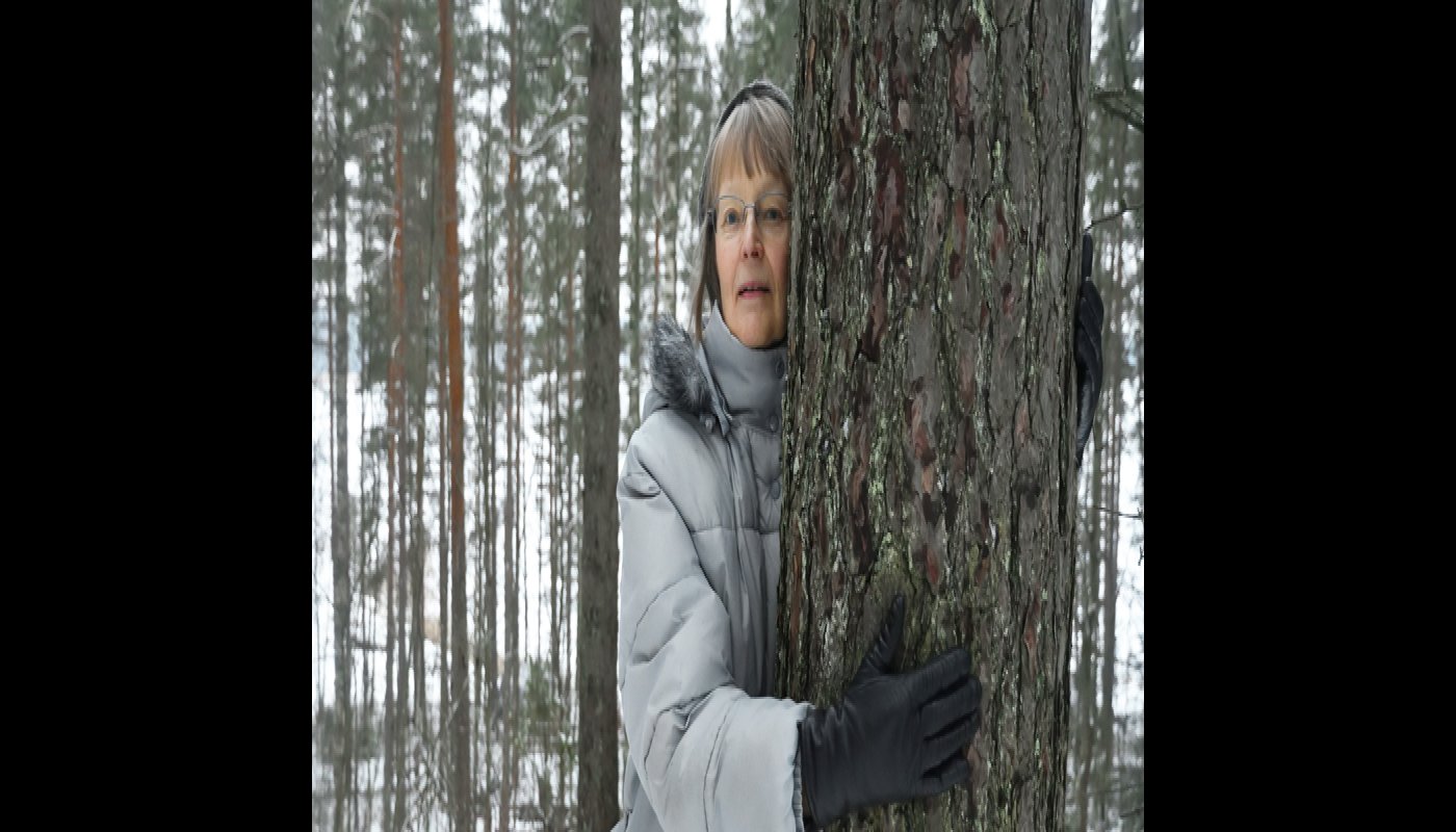Yhteismetsän osakas Ansa Lassila halaa paksua männynrunkoa kotitalonsa lähimetsikössä.