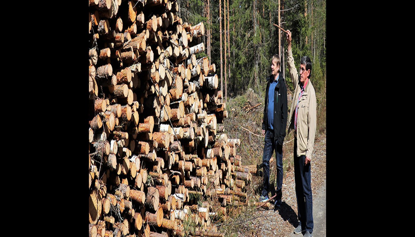 Kaksi miestä puupinon vieressä