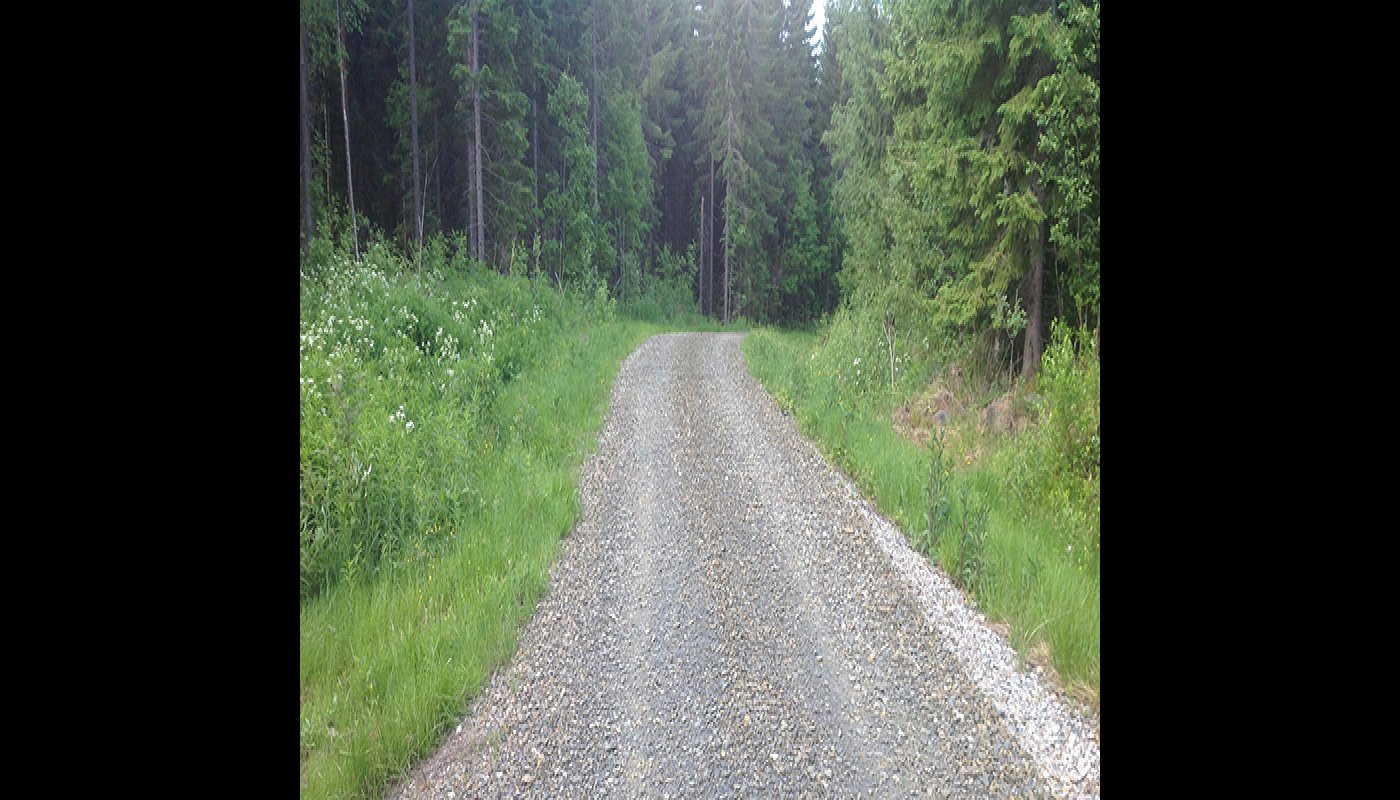 Viisi vinkkiä yksityistien hyvään kunnossapitoon