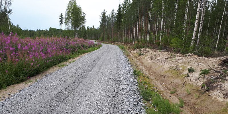 Hyväkuntoinen metsätie