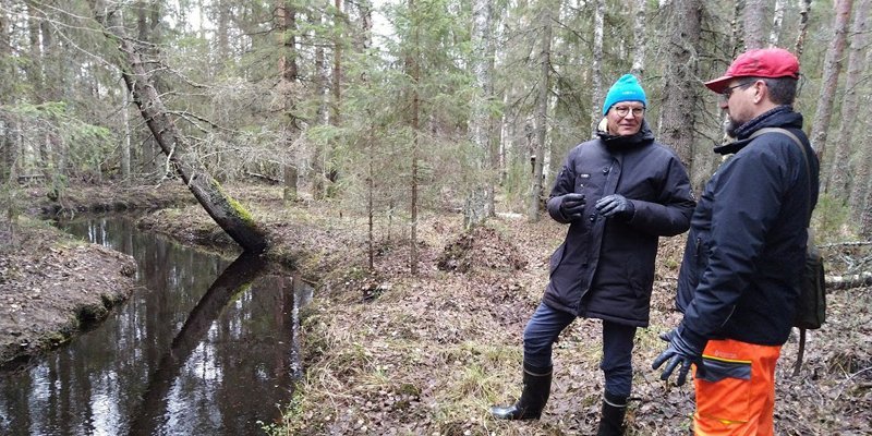 Metsänomistaja Mauno Soronen ja metsän- ja luonnonhoidon asiakasneuvoja Ari Karjalainen keskustelevat metsäpalstalla. Vieressä vasemmalla virtaa luonnontilainen puro.
