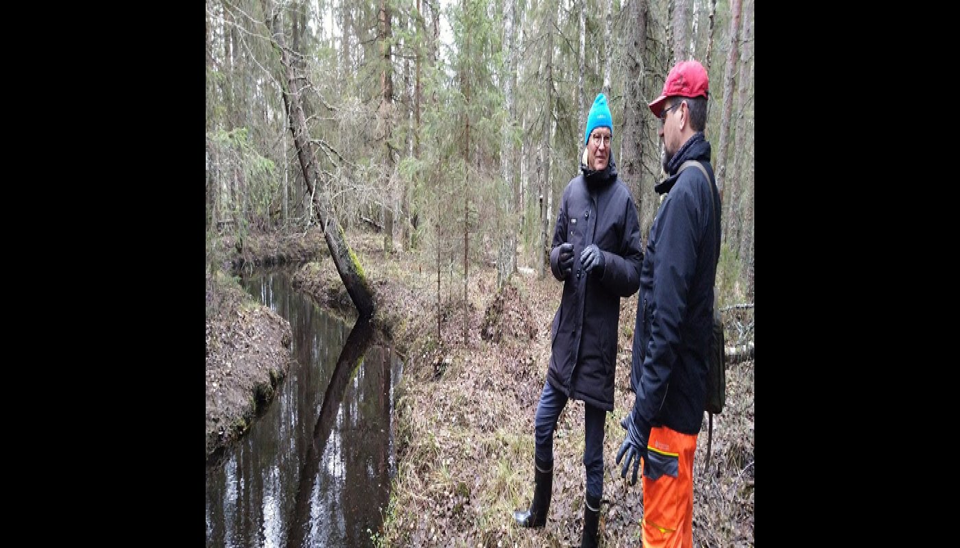 Metsänomistaja Mauno Soronen ja metsän- ja luonnonhoidon asiakasneuvoja Ari Karjalainen keskustelevat metsäpalstalla. Vieressä vasemmalla virtaa luonnontilainen puro. 