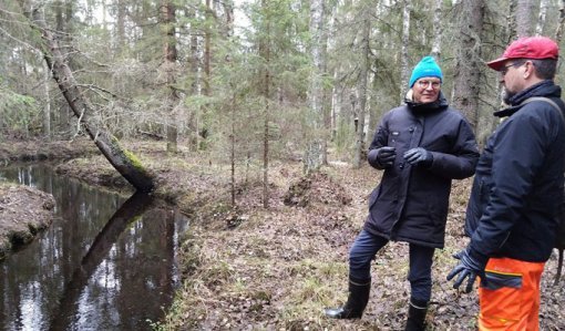 Metsänomistaja Mauno Soronen ja metsän- ja luonnonhoidon asiakasneuvoja Ari Karjalainen keskustelevat metsäpalstalla. Vieressä vasemmalla virtaa luonnontilainen puro.